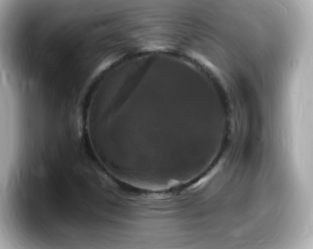 X0000099991306200805231444