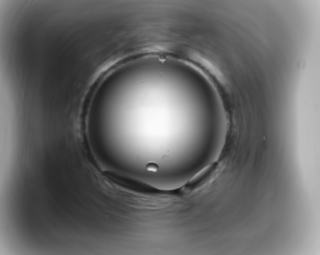 X0000099991308200805231444