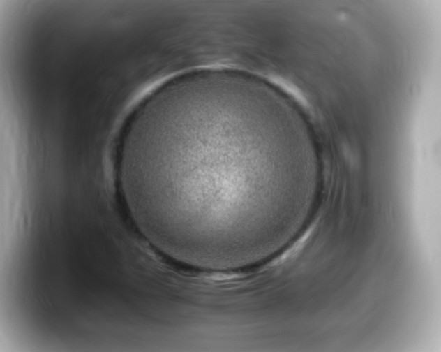 X0000099991311200805231444