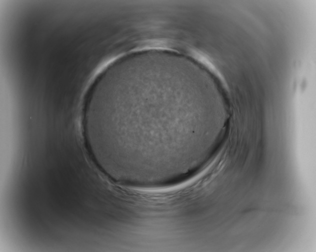 X0000099991312200805231444