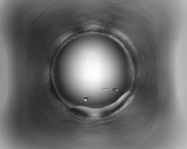 X0000099991313200805231444