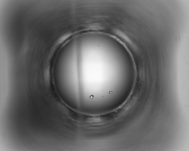 X0000099991315200805231444