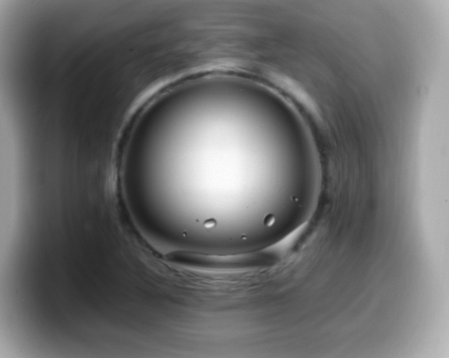 X0000099991316200805231444