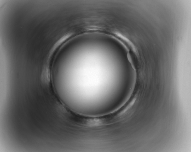 X0000099991317200805231444