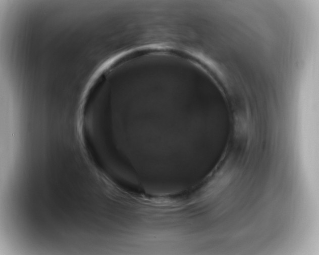 X0000099991319200805231444
