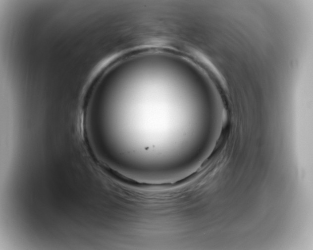 X0000099991320200805231444