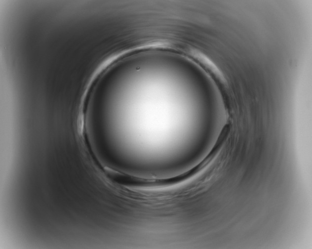 X0000099991324200805231445