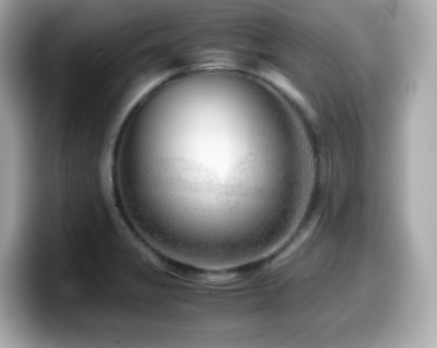 X0000099991325200805231445