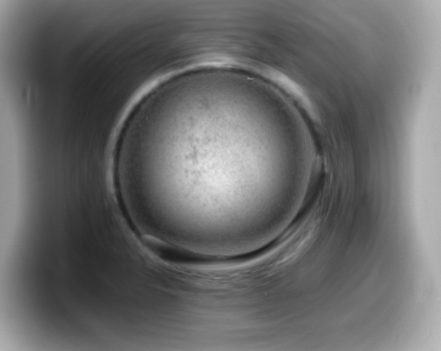 X0000099991326200805231445