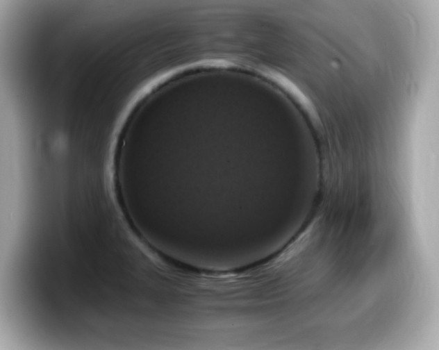 X0000099991327200805231445