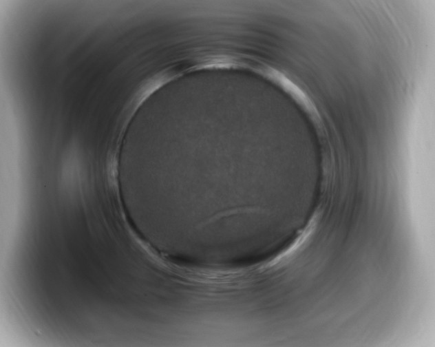 X0000099991329200805231445