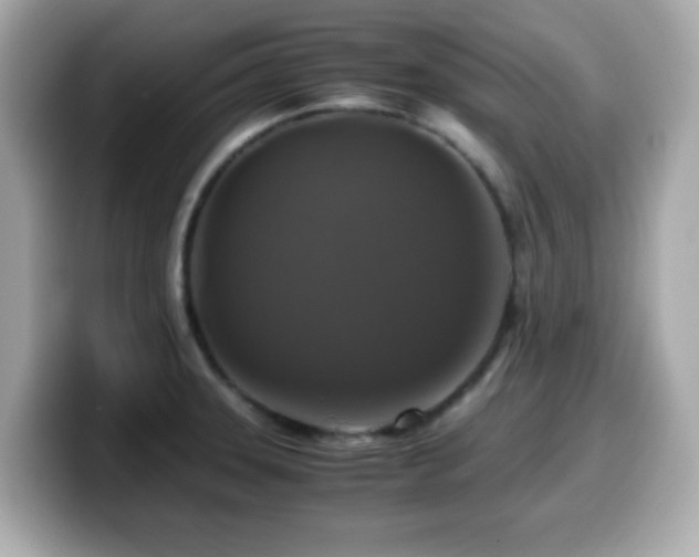 X0000099991331200805231445