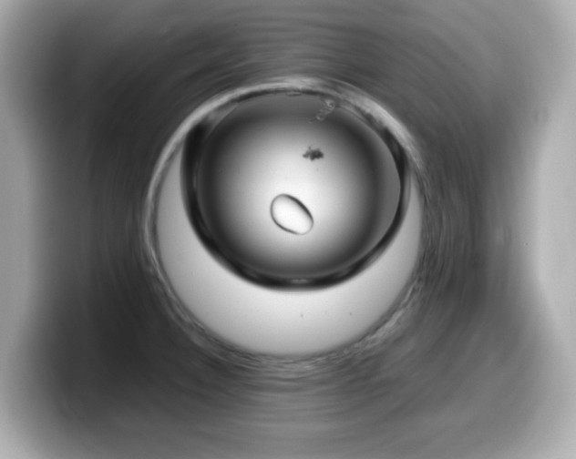 X0000099991332200805231445