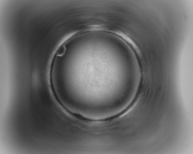 X0000099991333200805231445