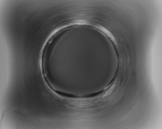 X0000099991334200805231445
