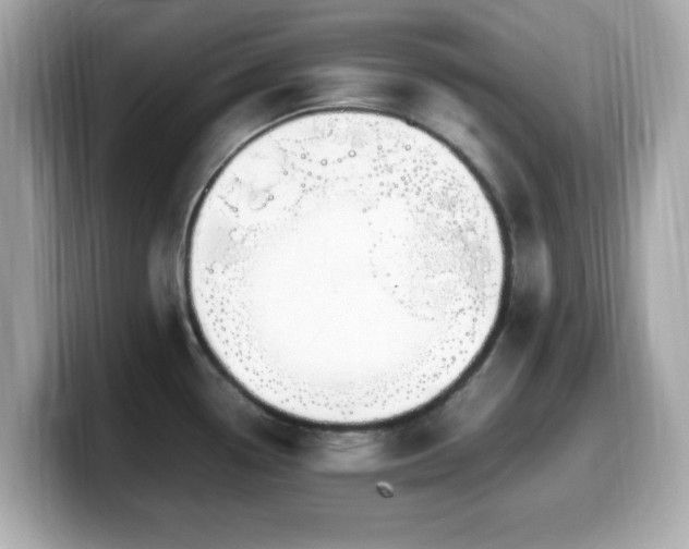 X0000099991338200805231445