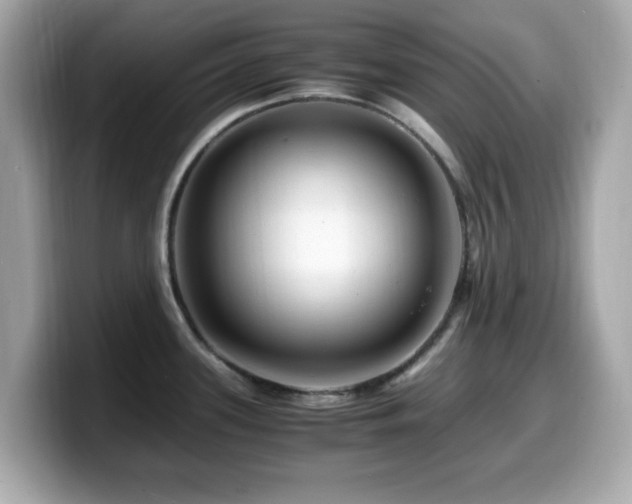 X0000099991339200805231445