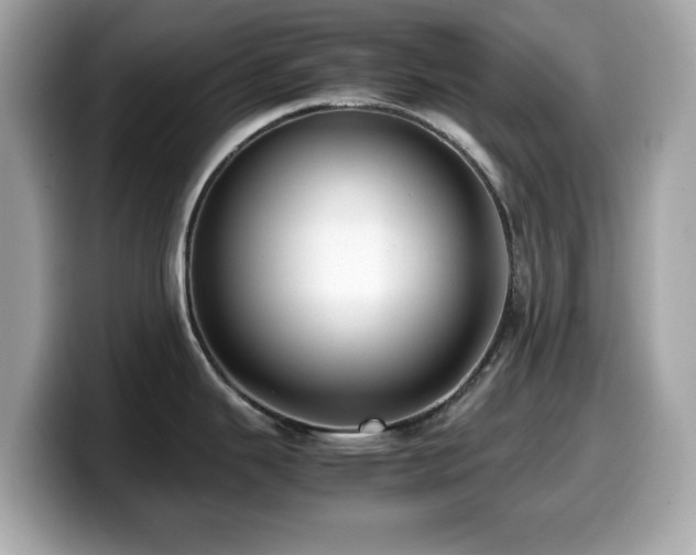 X0000099991343200805231445