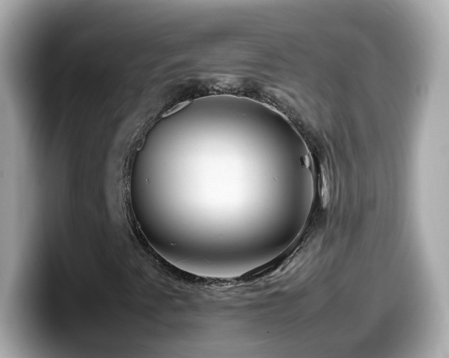 X0000099991345200805231444