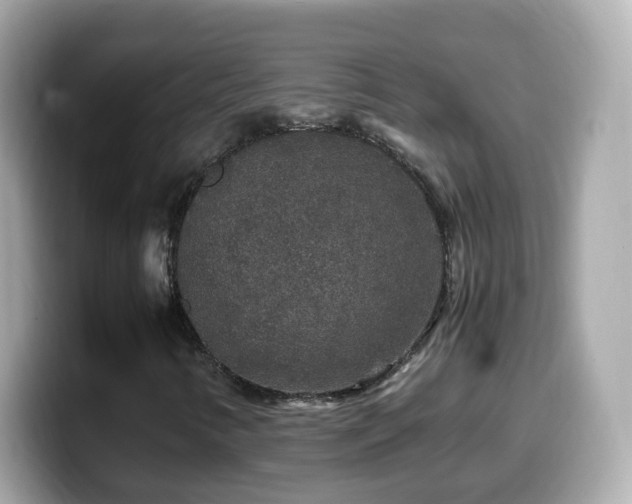 X0000099991346200805231444