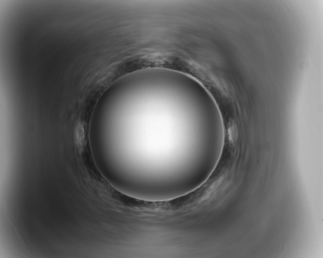 X0000099991347200805231444