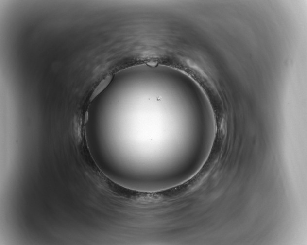 X0000099991348200805231444