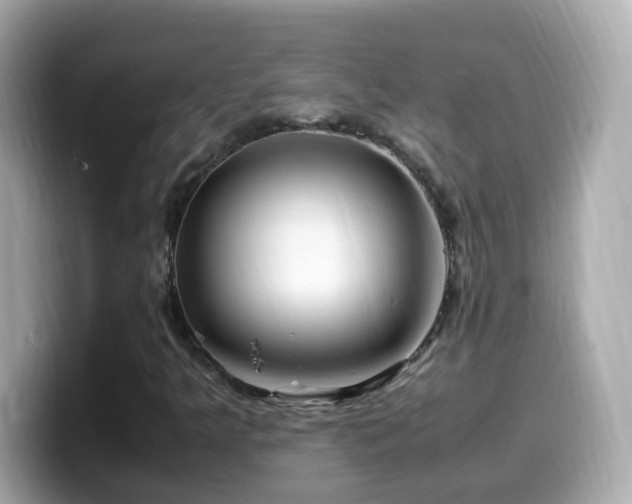 X0000099991349200805231444