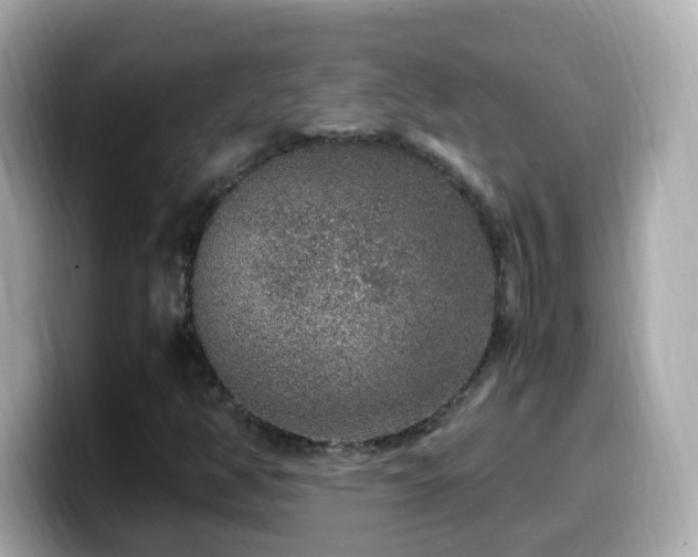 X0000099991350200805231444