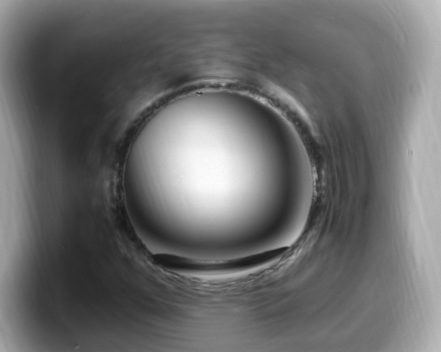 X0000099991352200805231444