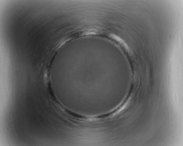 X0000099991353200805231444