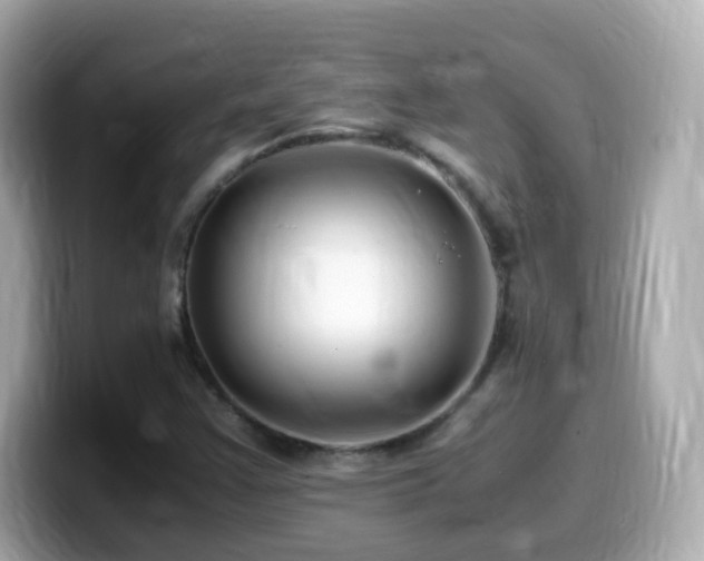 X0000099991355200805231444