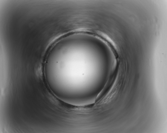 X0000099991356200805231444