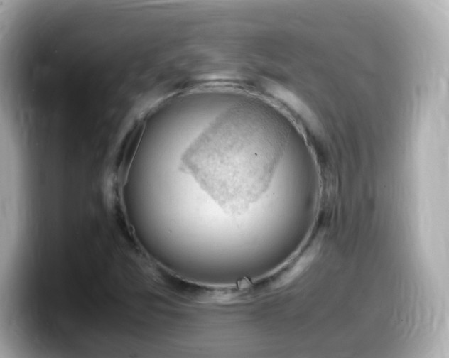 X0000099991357200805231444