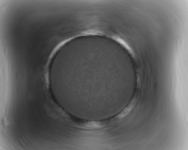 X0000099991358200805231444