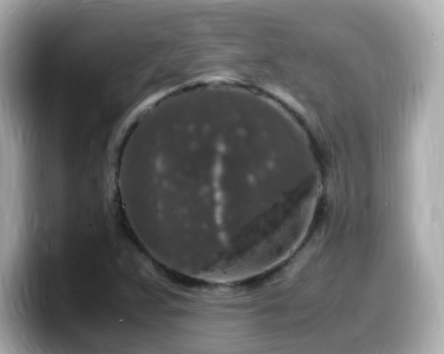 X0000099991359200805231444