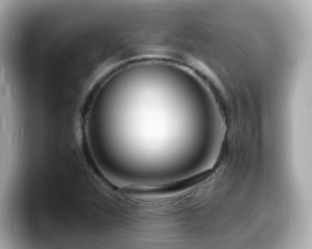 X0000099991360200805231444