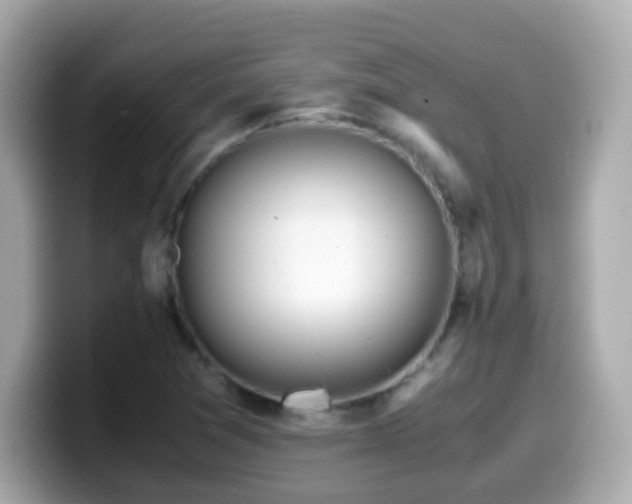 X0000099991361200805231444