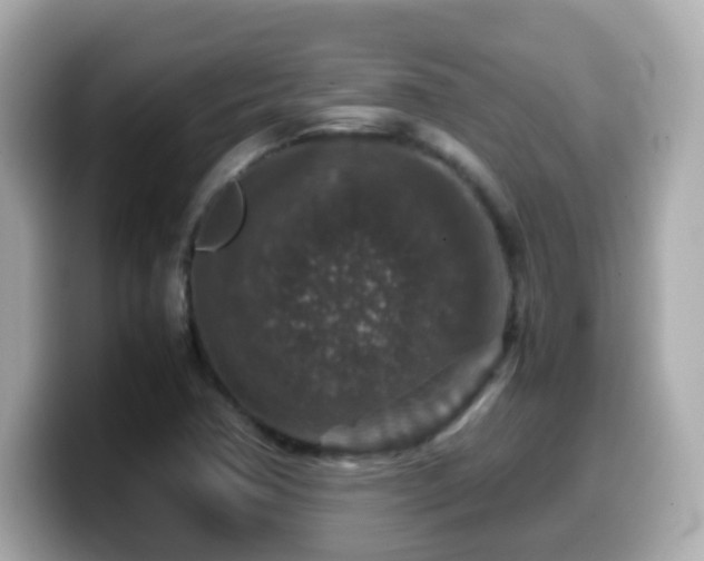 X0000099991362200805231444