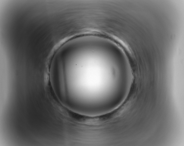 X0000099991363200805231444