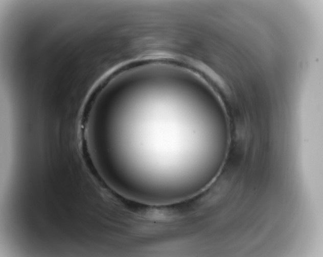 X0000099991364200805231444