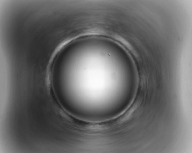 X0000099991366200805231444