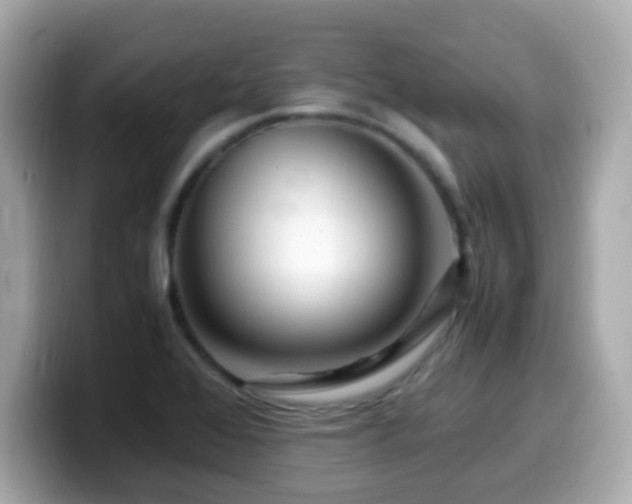 X0000099991368200805231444