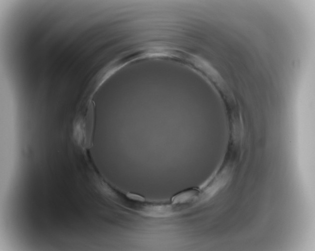X0000099991369200805231444