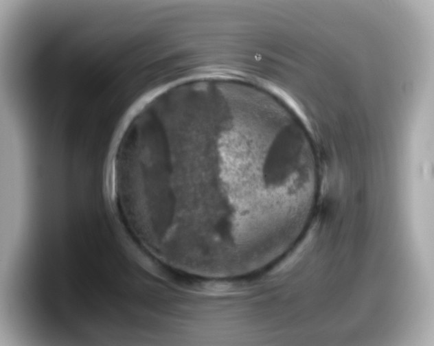 X0000099991371200805231444