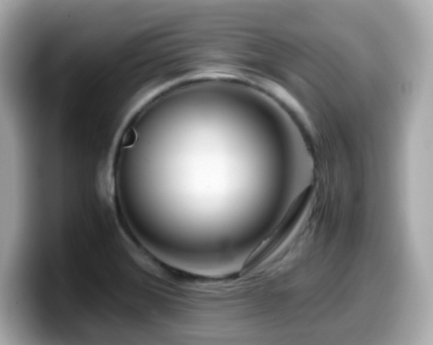 X0000099991372200805231444