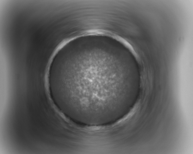 X0000099991373200805231444