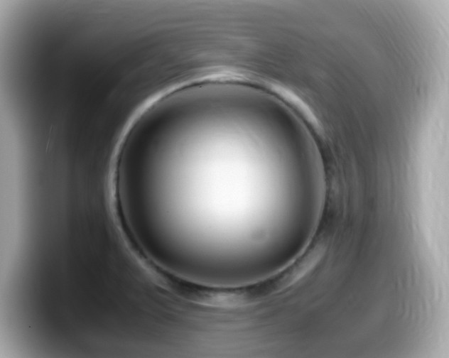 X0000099991375200805231444
