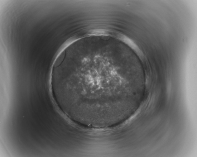 X0000099991378200805231444