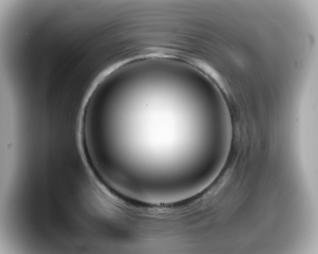 X0000099991379200805231444