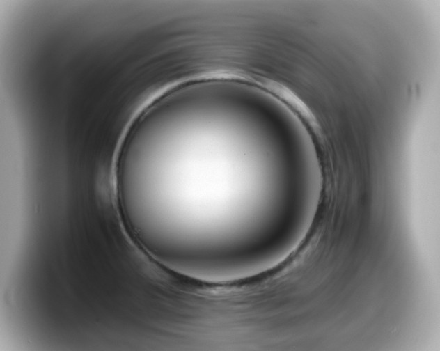 X0000099991380200805231444